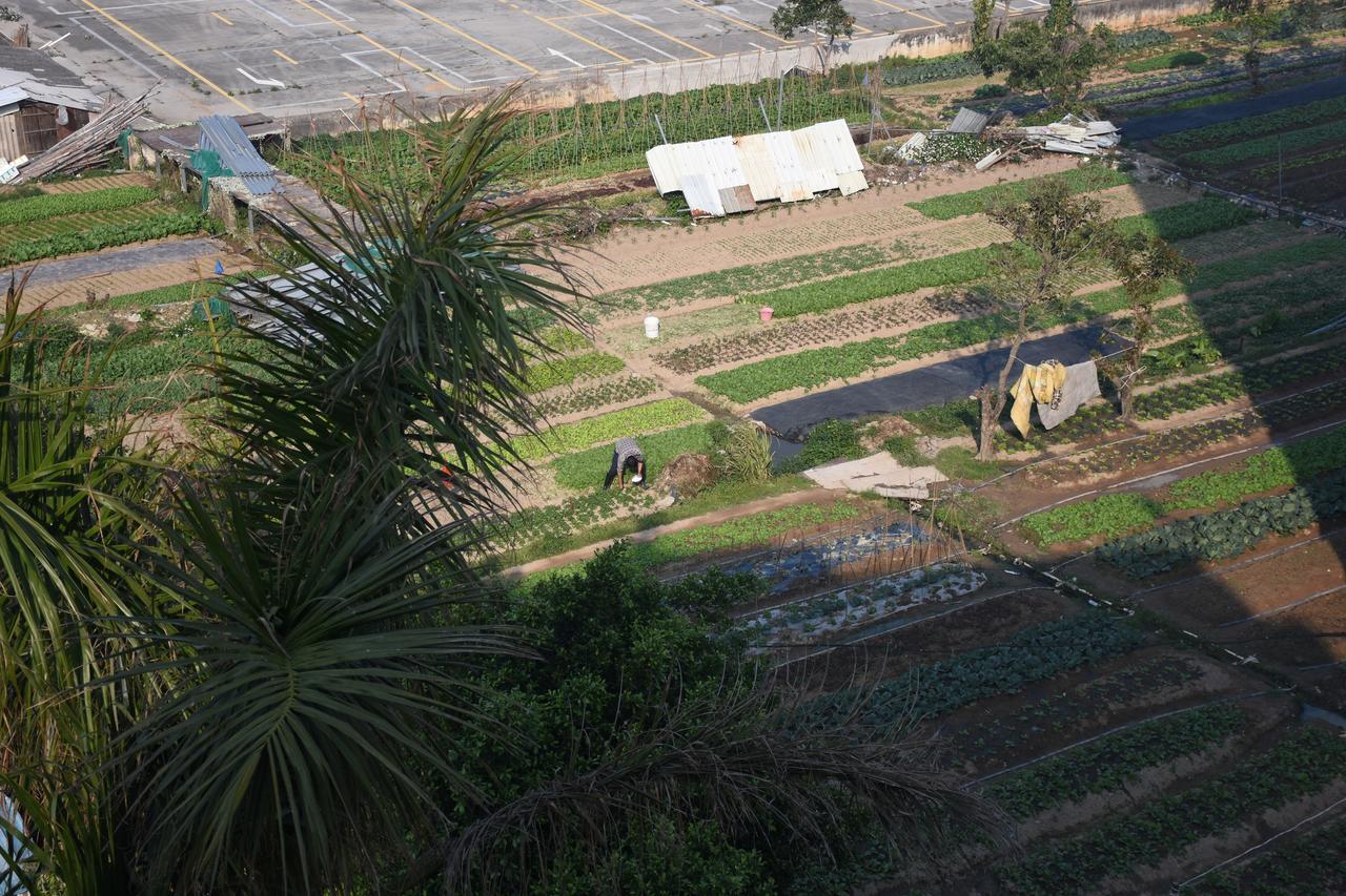 Fos Inn เซียะเหมิน ภายนอก รูปภาพ